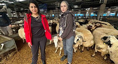İki genç kuzen celep, Bursa'daki kurban pazarında rekabeti artırdı