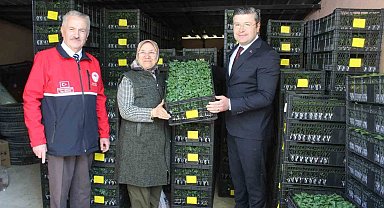 İnebolu'da çiftçilere 124 bin adet sebze fidesi dağıtıldı
