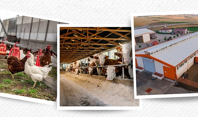IPARD III sonuçları açıklandı... 218 projeye 2,5 milyar TL hibe