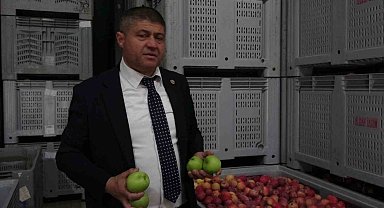 Isparta'da soğuk hava depolarındaki 50 bin ton elma için kritik süre