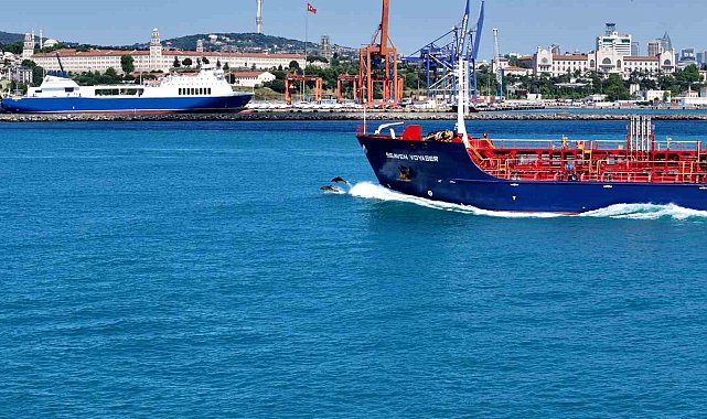 İstanbul Boğazından yunus sürüsüyle Kurban bayramı manzarası