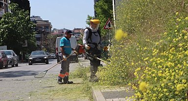 İstanbul Maltepe'de çevre düzenleme çalışmaları sürüyor