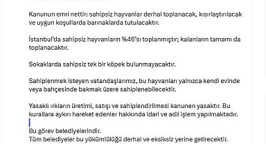 İstanbul Valisi Davut Gül: "Sahipsiz hayvanların yüzde 46'sı toplanmıştır; kalanların tamamı da toplanacaktır"