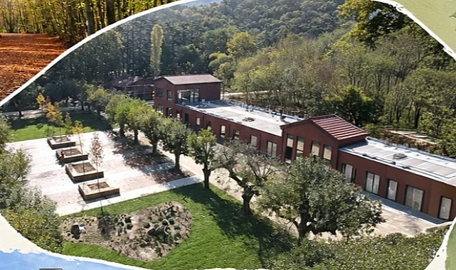 İstanbul'da Maltepe Belediyesi'nin 'Yaz Gezileri' başlıyor