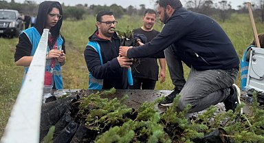 İzmir Aliağa'da yangınların yarası bin fıstık çamıyla sarıldı