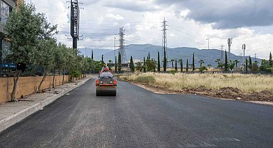 İzmir Bornova'da asfalt seferberliği