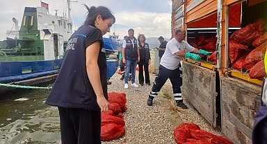 İzmir'de yasa dışı su ürünleri avcılarına ağır darbe: 7 ton kaçak midye ele geçirildi