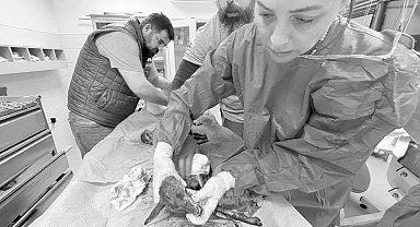 İzmir'de doğal yaşamın mucize hekimleri