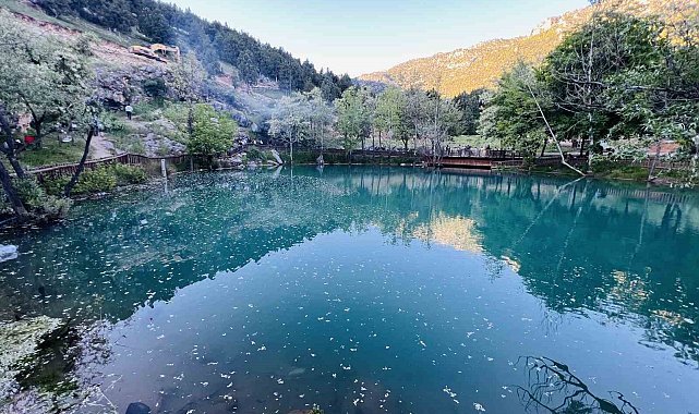 Kahramanmaraş'ta "Yeşilgöz" göz kamaştırıyor