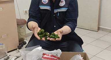 Kapıkule'de yolcu otobüsünde 2 bin adet canlı yeşil alg ele geçirildi