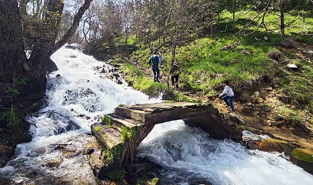 Kar sularıyla coşan Beyazsu Şelalesi hayran bırakıyor