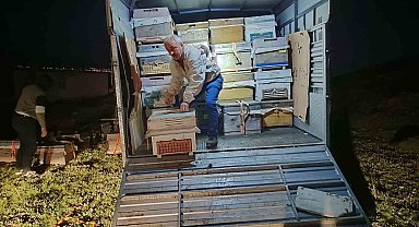 Karadeniz'in gezgin arıcıları yeni sezon için Doğu Anadolu'nun dağlarını mesken tuttu