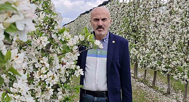 Karaman'da 16 milyon elma ağacı çiçek açarak gelinliğini giydi