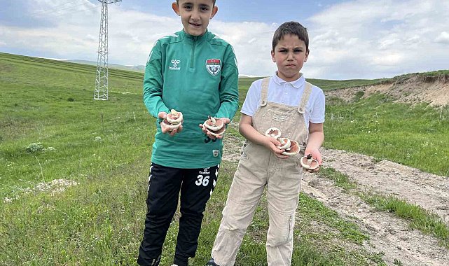 Kars'ta mantar bereketi: Çocuklar doğada hem eğlendi hem topladı
