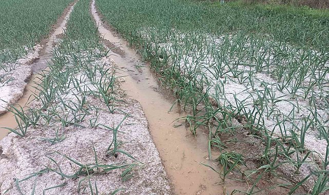 Kastamonu'da dolu yağışı etkili oldu