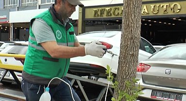 Kayseri Kocasinan'da ağaçlara sıkı koruma