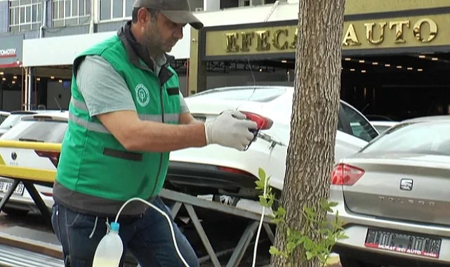 Kayseri Kocasinan'da ağaçlara sıkı koruma