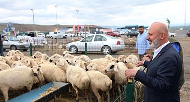 Kayseri Kocasinan'dan profesyonel kurban hazırlığı