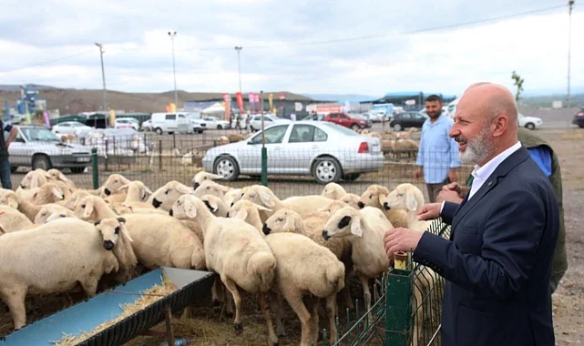Kayseri Kocasinan'dan profesyonel kurban hazırlığı