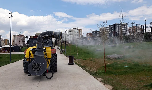 Kayseri Talas'ta haşeratla tam gaz mücadele