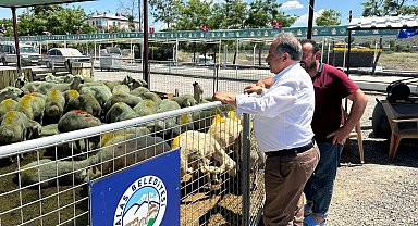 Kayseri Talas'ta kurban pazarına yoğun ilgi