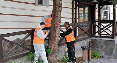 Kayseri Talas'tan çevre dostu ilaçlama atağı