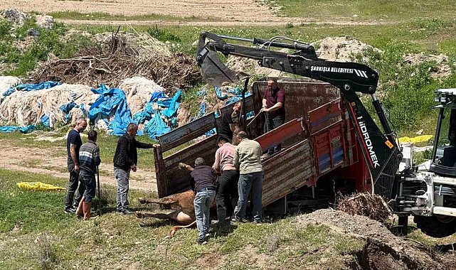 Kesime bir gün kala ortalığı birbirine kattı, 4 saat sonra yakalandı