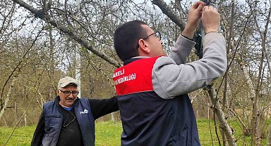 Kırklareli'de kahverengi kokarca böceği izleme çalışmaları