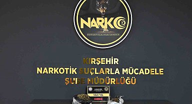 Kırşehir'de uyuşturucu operasyonu: 2 kişi tutuklandı