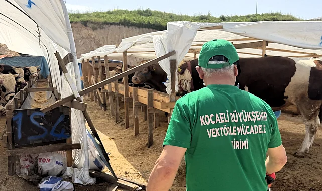 Kocaeli'de 4 ilçede kurban pazarları ilaçlanıyor