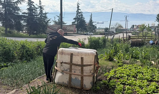 Kocaeli'de sivrisinek ve karasinekle yoğun mücadele