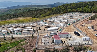 Kocaeli'nde sahipsiz köpeklere yeni yuva