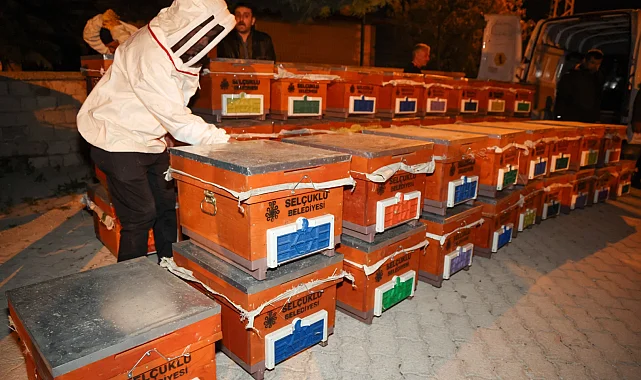 Konya Selçuklu'da arılı kovan desteği sürüyor