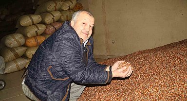 Kurban Bayramı öncesi fındık fiyatları geriledi
