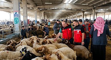 Kurban denetimleri 81 ilde sıkılaştırıldı