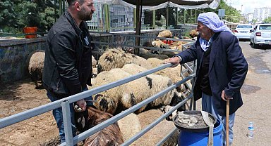 Kurban pazarında sessizlik: Satıcılar son günleri bekliyor