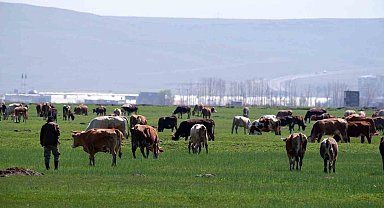 Kurban satışlarında sosyal medya tuzağı