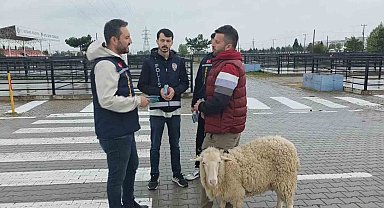 Kütahya'da kurbanlık pazarında sahte para ve dolandırıcılık uyarısı