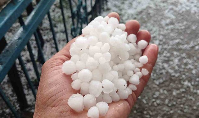 Malatya'da dolu kayısı bahçelerine zarar verdi