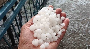 Malatya'da dolu kayısı bahçelerine zarar verdi