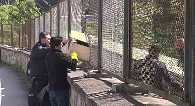 Maltepe'de ormanda erkek cesedi bulundu