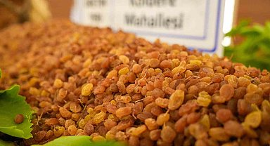 Manisa'dan 321 milyon dolarlık kuru üzüm ihracatı