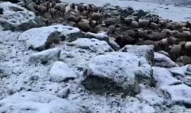 Mayıs sonunda Kars'a kış geri döndü, eksi 5 derecede kar sürprizi