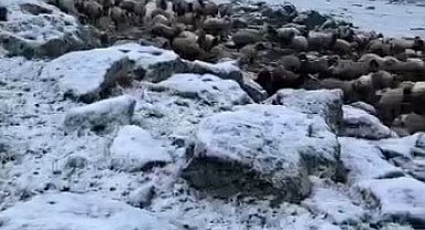 Mayıs sonunda Kars'a kış geri döndü, eksi 5 derecede kar sürprizi