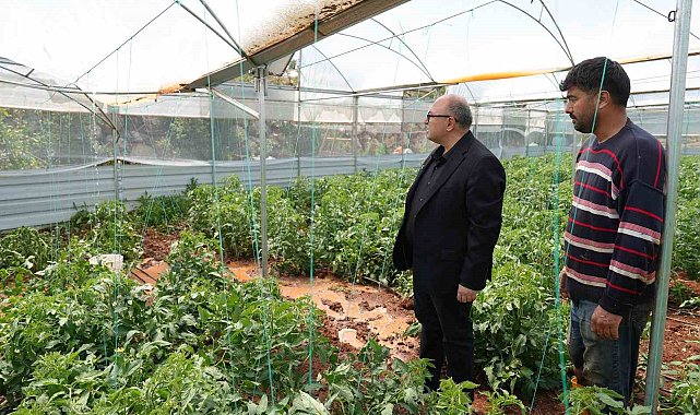 Mersin'de dolu, sebze tarlaları ve meyve bahçelerine zarar verdi