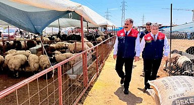 Mersin'de Kurban Bayramı öncesi satış noktalarında sıkı denetim