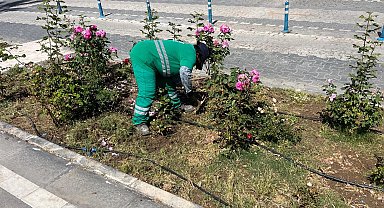 Muğla Milas'ta bayram öncesi bakım