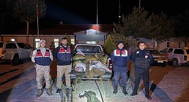 Muradiye'de 630 kilo inci kefali ele geçirildi
