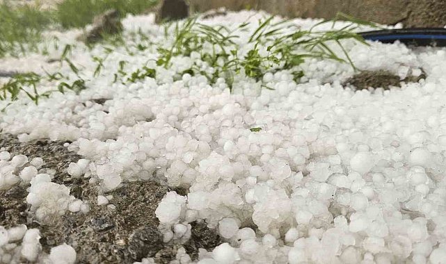 Muş'ta dolu yağışı etkili oldu