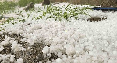 Muş'ta dolu yağışı etkili oldu